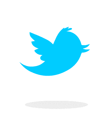 twitter icon
